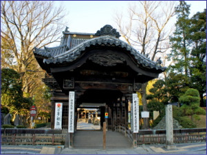 �f�����̑��ۋ��̎ʐ^