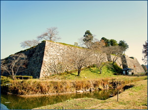 �R���(���{100����)�̎ʐ^