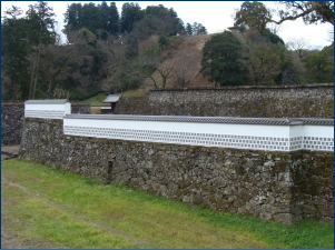 �l�g�镜���Ί_