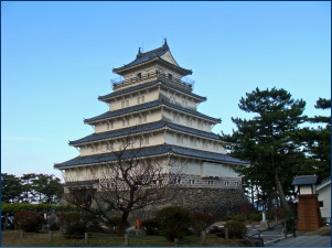 ������V��t