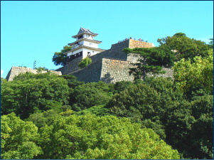 �ۋT��̓V��t(���̏d�v������)