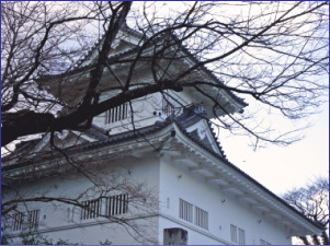 �����̊ۘe�E�̎ʐ^