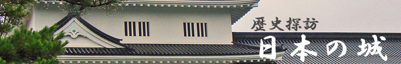 �g�b�v�^�C�g��/���j�T�K�E���{�̏�